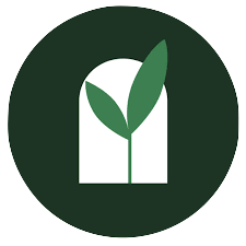 The Vine